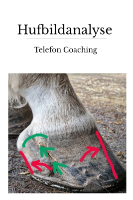 Hufbildanalyse-Telefon-Coaching